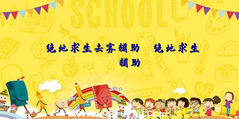 「绝地求生去雾辅助」|绝地求生sk